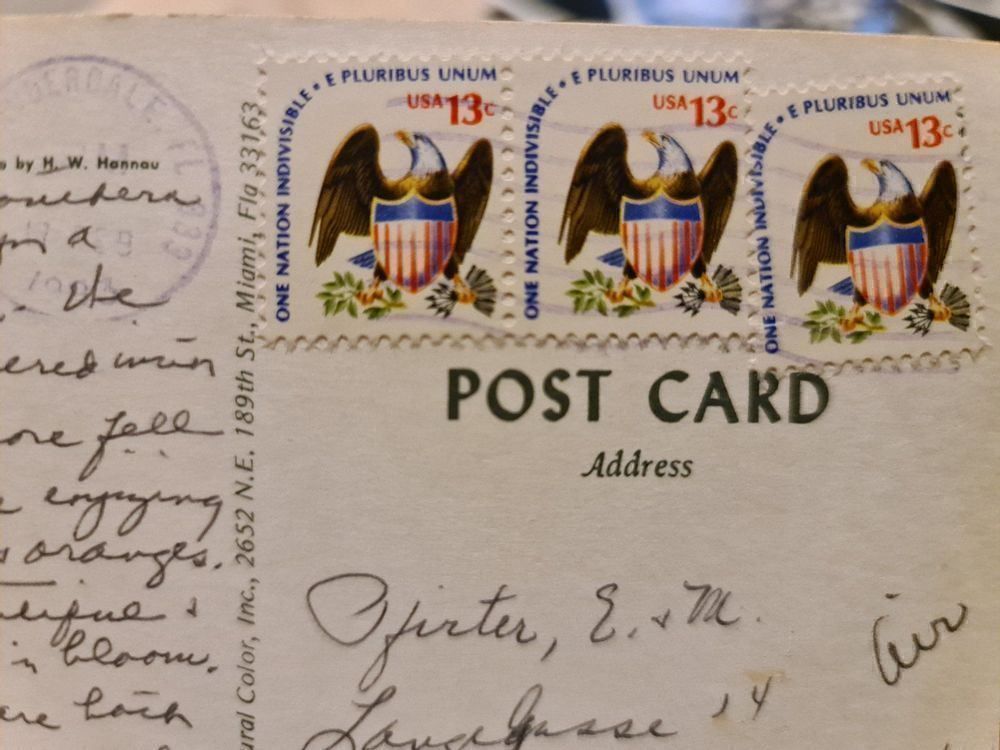 Cartoline postali: Ansichtskarte Florida Sunrise 1988 – Usato da Dintikon venduto da Vexi 1