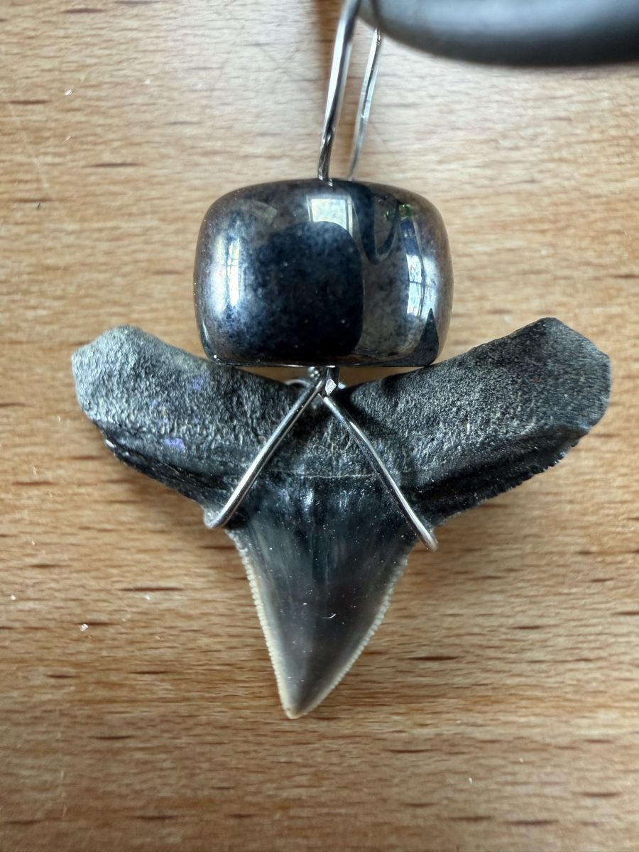 Catenine: Kette mit Haifischzahn-Anhänger – Usato da Grenchen venduto da Bastet007 3
