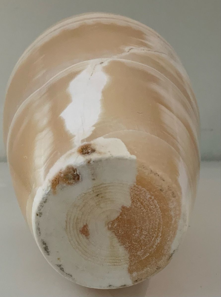 Vasen & Gefässe: Vase en albâtre tourné – Gebraucht aus rolle von Tontonjulot 5