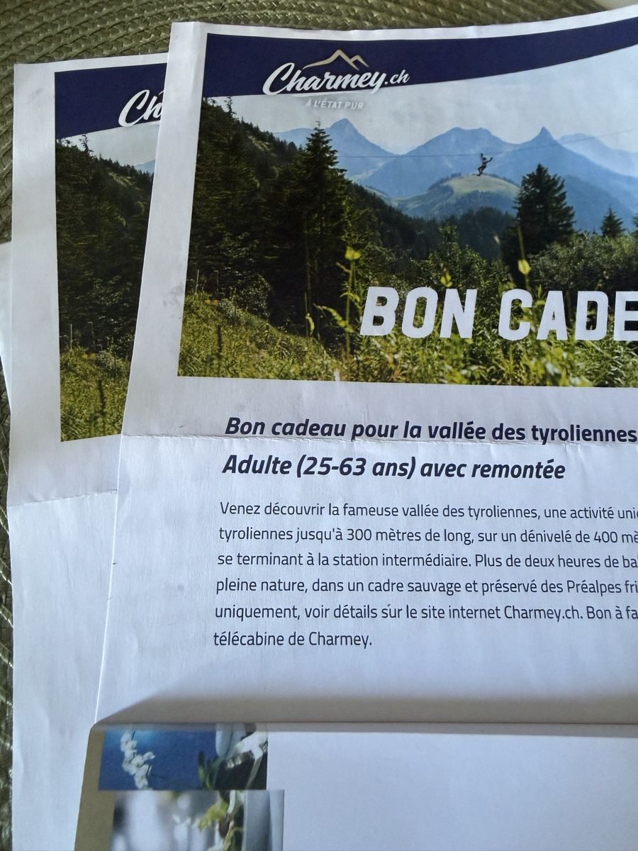 Buoni: Zip line + Valley lift pass – Nuovo e nell'imballaggio originale da Pully venduto da vik_2mrb