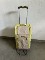 Kühleinkaufstrolley