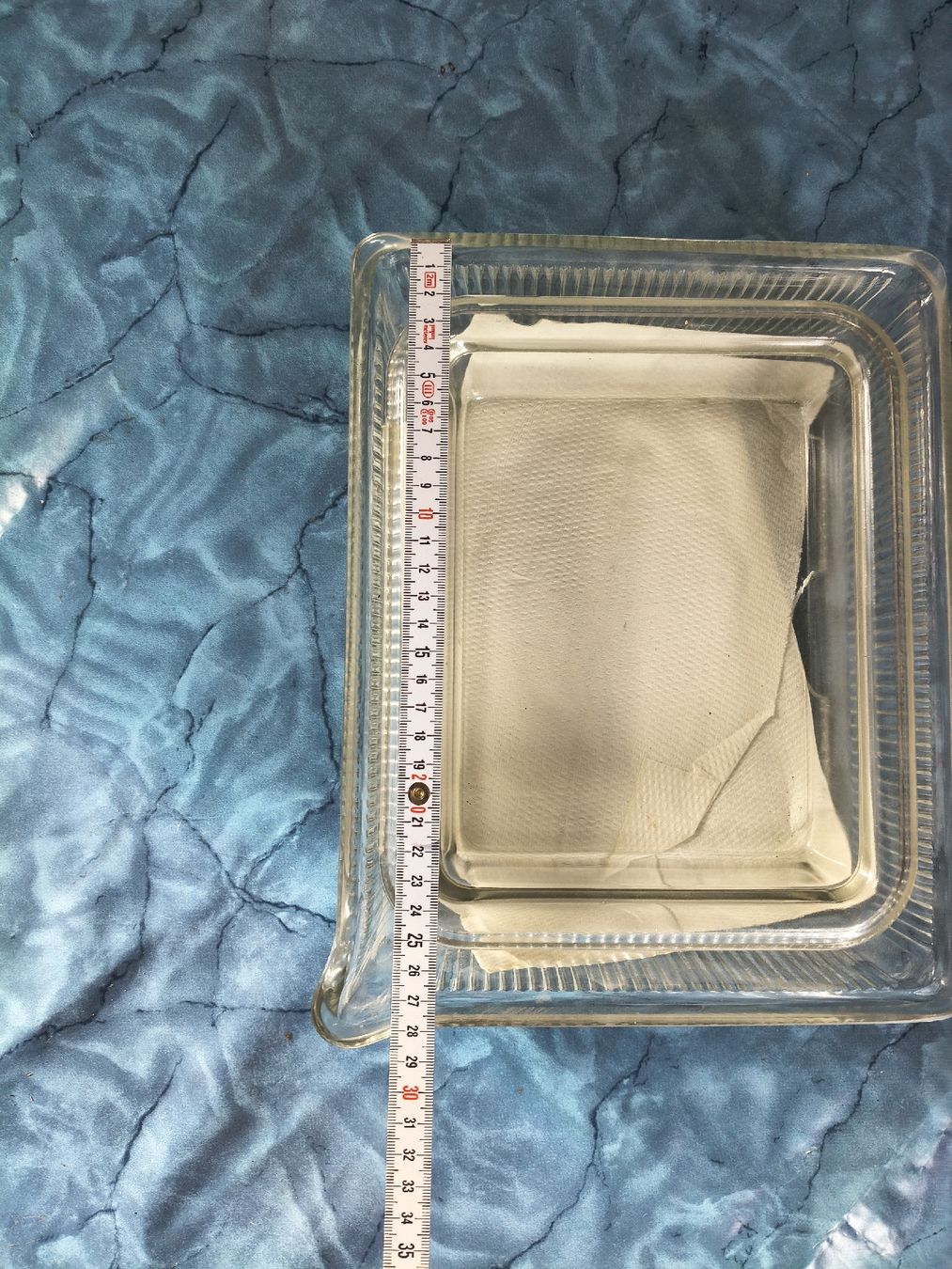 Piatti di portata: Vintage Glass Open Trays - Durable - Stylish – Usato da Zürich venduto da TrainLine 6