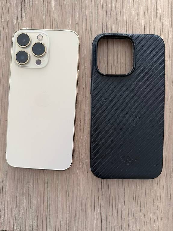 Apple Telefoni cellulari / Smartphones: iPhone 13 pro, 256 GB – Usato da Küssnacht am Rigi venduto da Jutzi 2