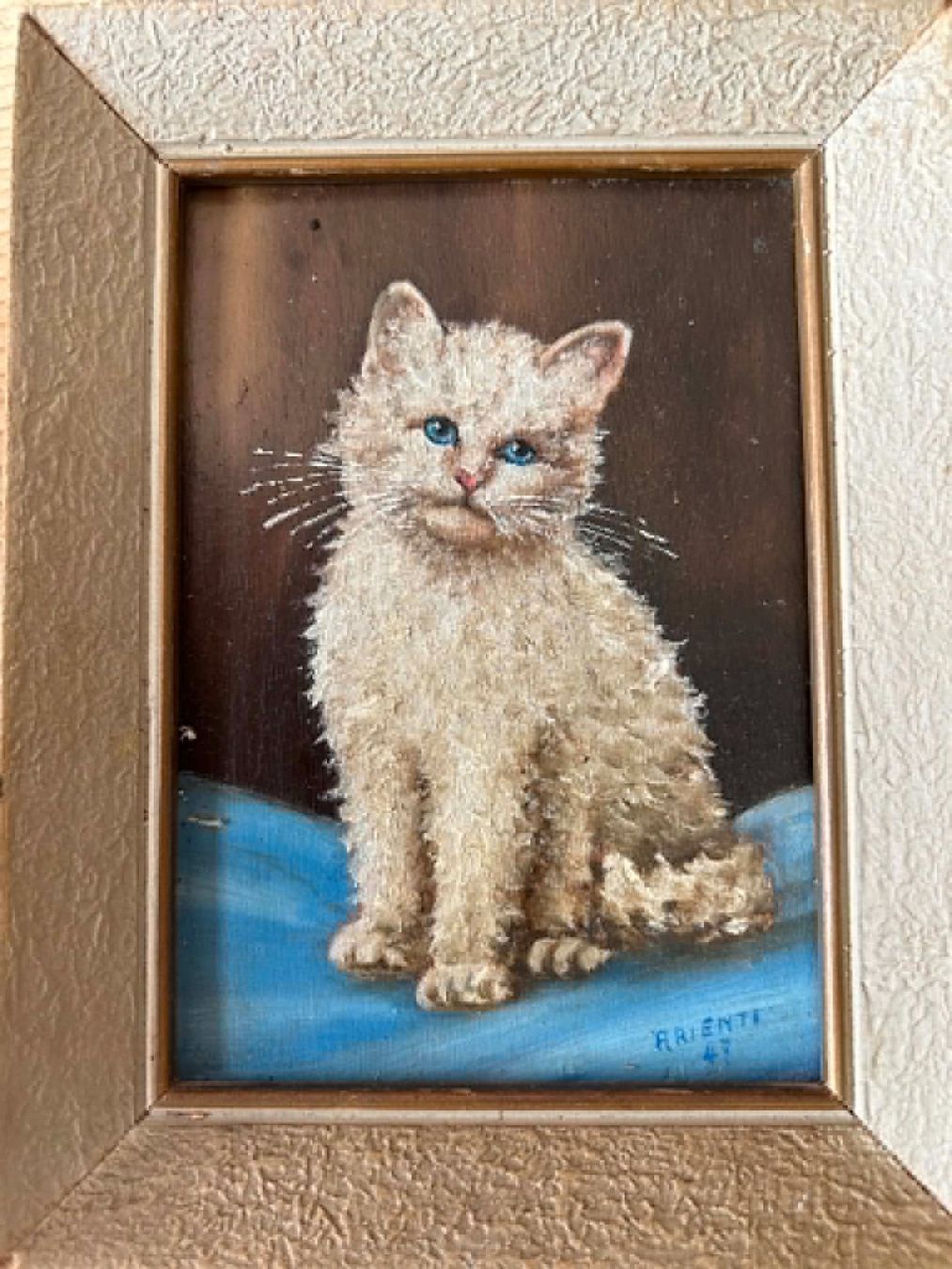 Foto & Immagini: Katzenbild, öl auf holz – Usato da Bern venduto da Flo_Brunner