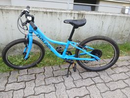Naloo 20 Zoll
