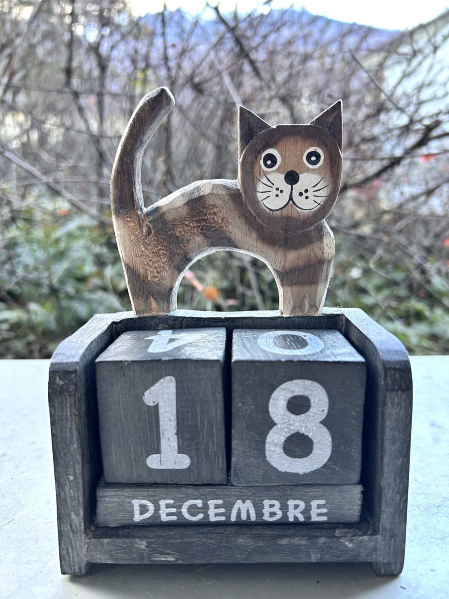 Calendari: Würfel-Holzkalender mit Katze – Usato da Buchs SG venduto da valiii21