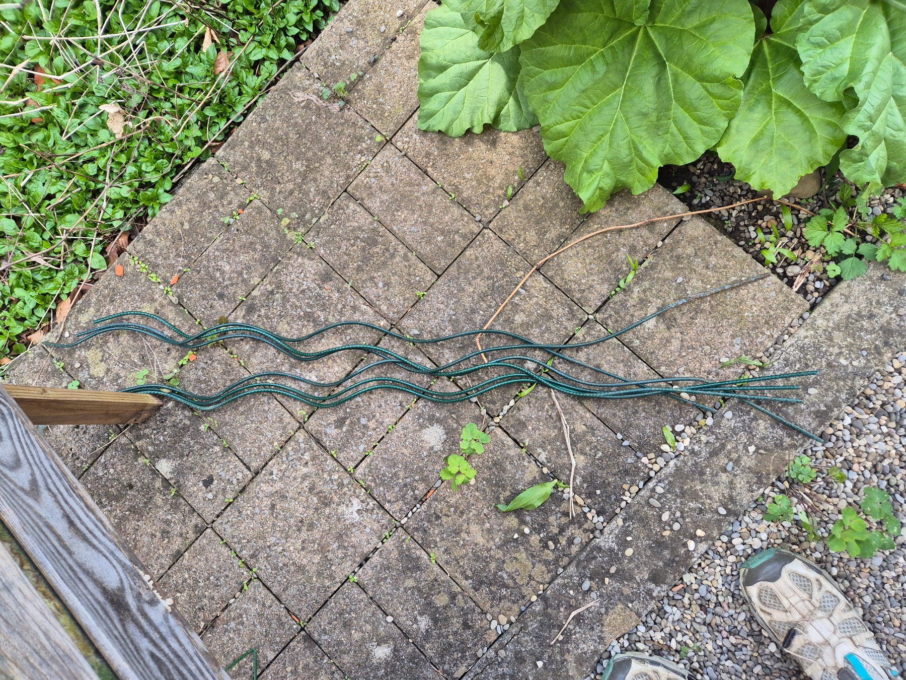Sonstige Gartendekorationen: Rankhilfe, Tomatenspirale, Pflanzenstützen, Gartenzubehör – Gebraucht aus Trimbach von meruula