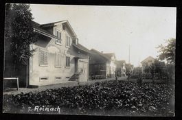 Reinach Detailansicht Privataufnahme