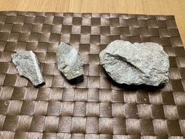 Seltene Mineralien-Sammlung,Fundstücke aus den Bündner Alpen