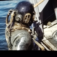 Profile image of Cimetta
