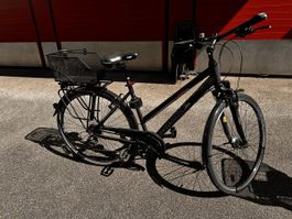 Pegasus City Bike - Great for Spring Commutes!