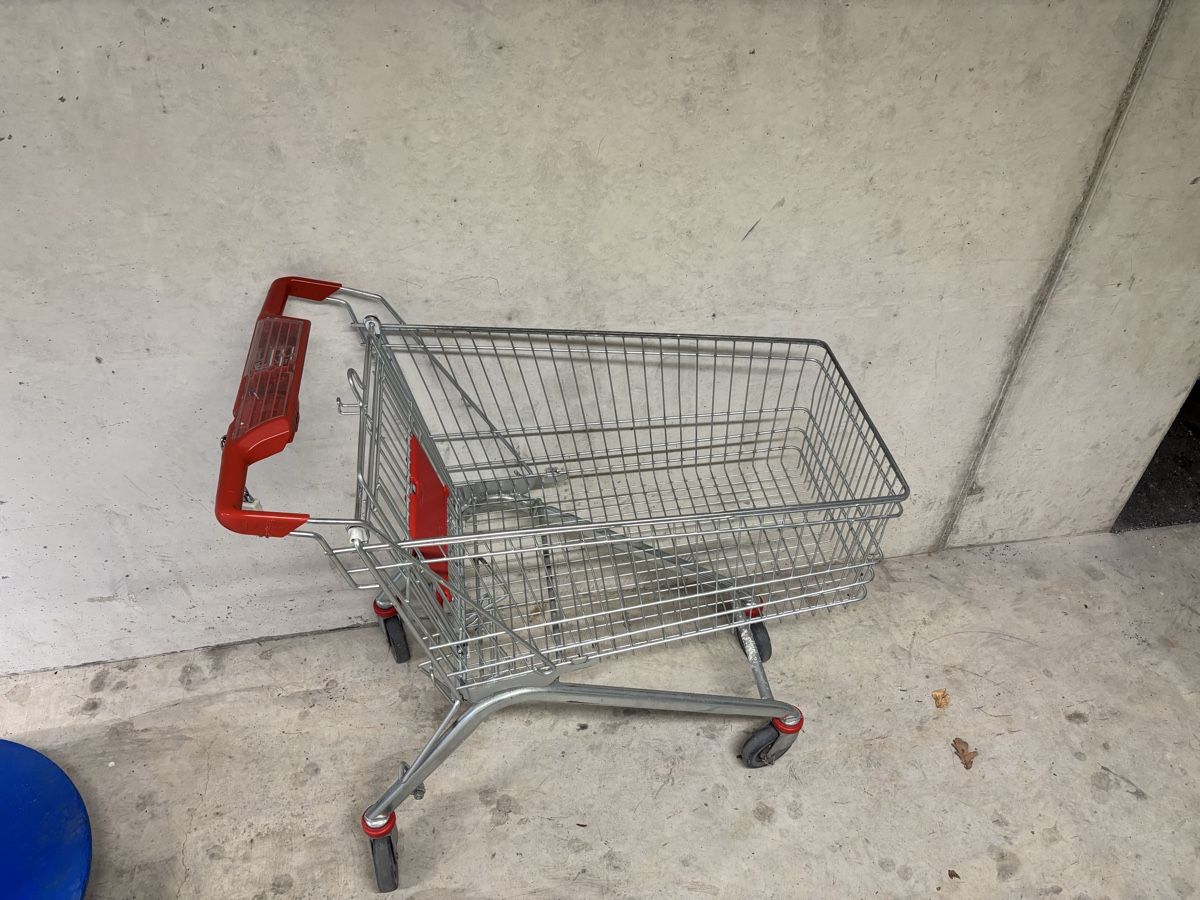 Schubkarren: ROBUSTER EINKAUFSWAGEN – Gebraucht aus Derendingen von bossaura