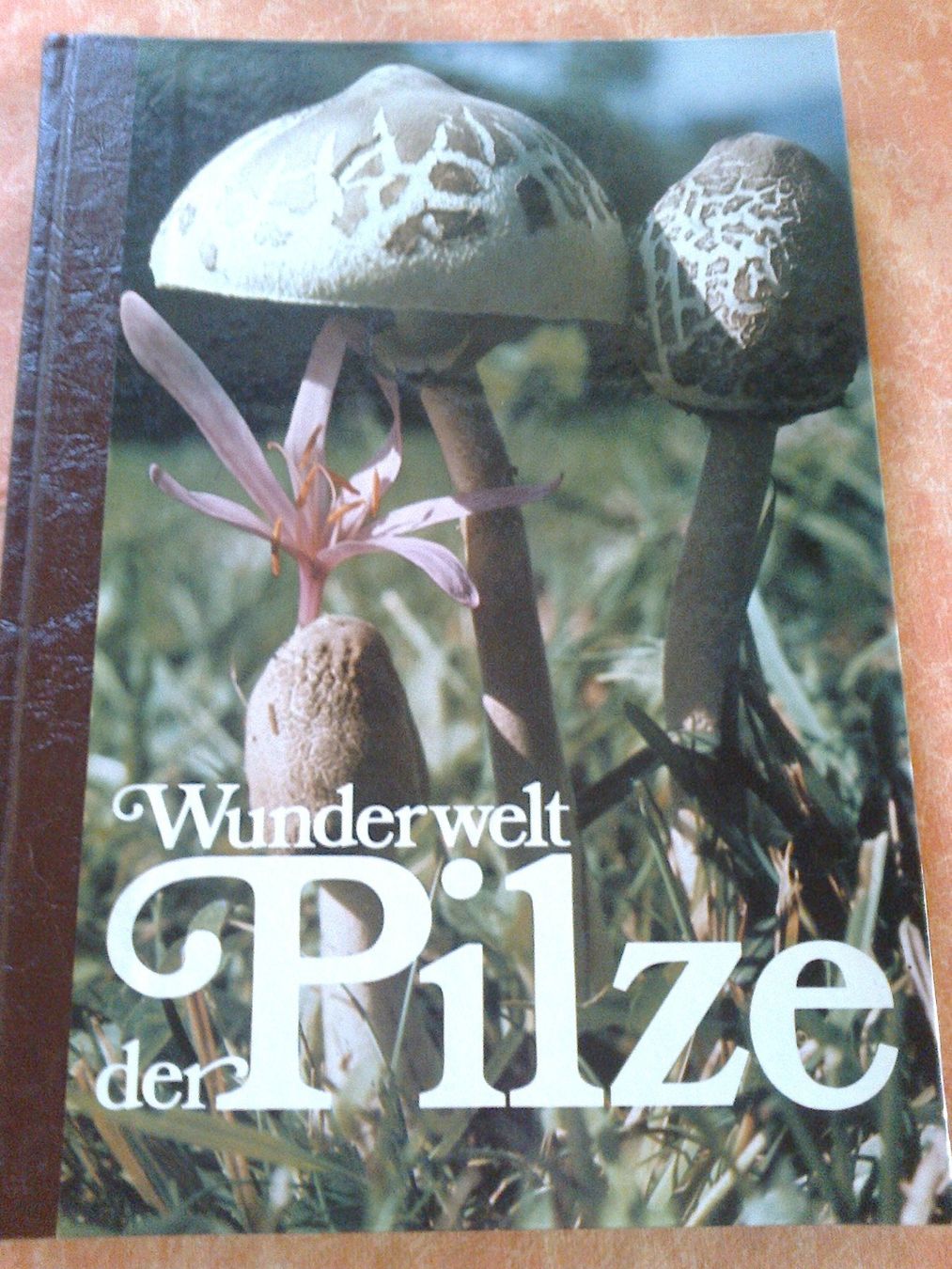 Libri: Wunderwelt der Pilze, Pilzbuch, Versand möglich!!! – Usato da Krauchthal venduto da Tokaji67
