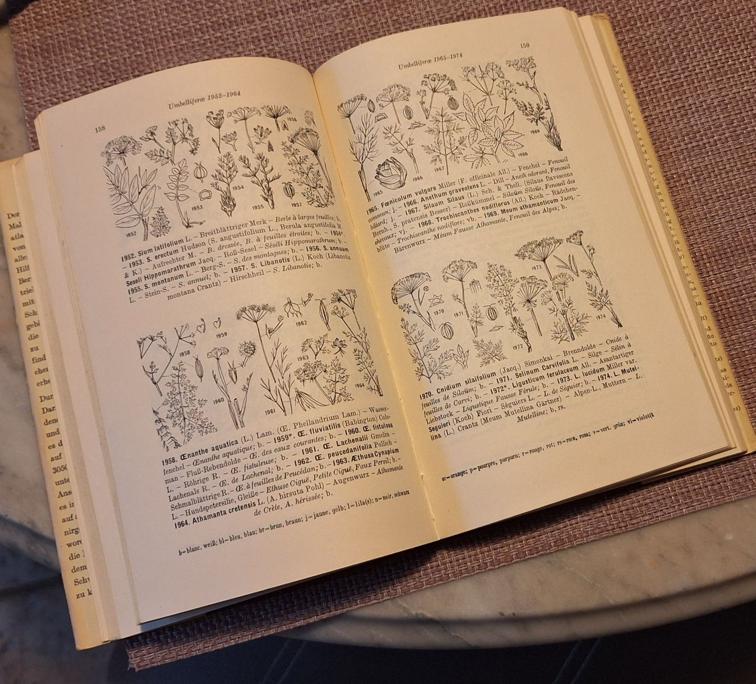 Libri: Taschenatlas der Schweizer Flora – Usato da Grabserberg venduto da Sahara947 4