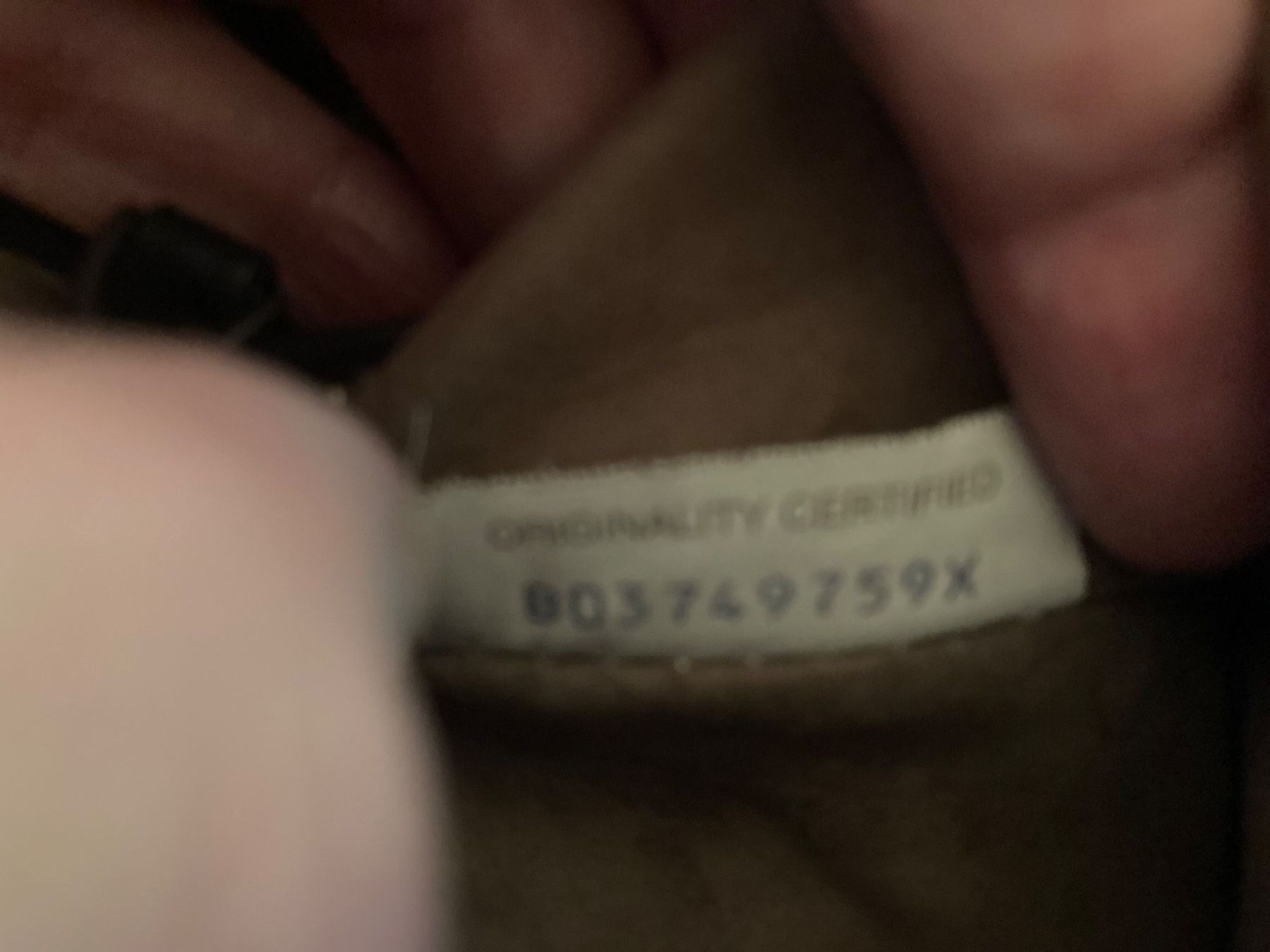Bottega Veneta Borse da donna: WUNDERBARE BOTTEGA VENETA PYTHON BAG, PURER LUXUS! – Nuovo (secondo la descrizione) da Zürich venduto da elegantissima 9