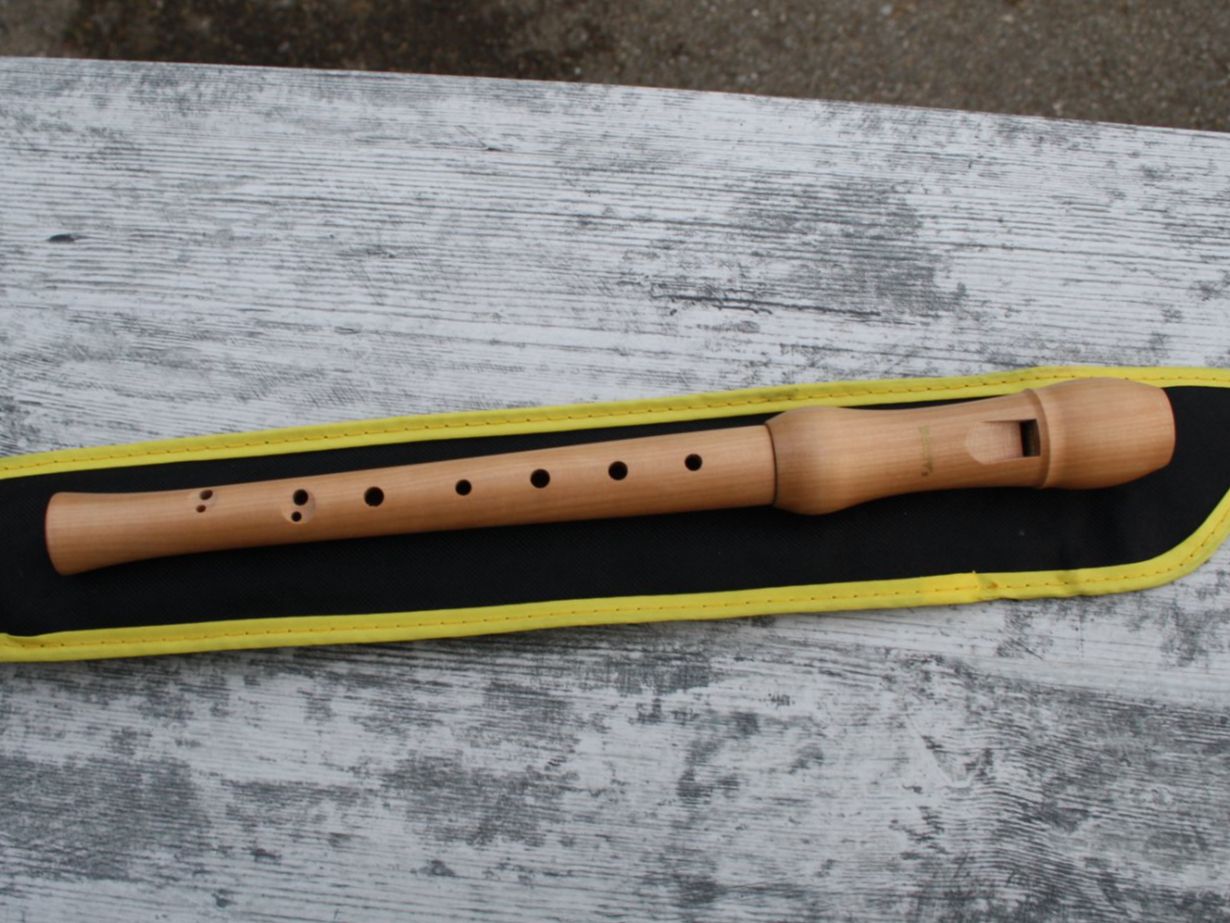 Strumenti musicali: FLÖTE BLOCKFLÖTE HOLZ – Usato da Wauwil venduto da Pneuedy
