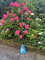 Fanatic Carbon 25 SUP Paddle used condition