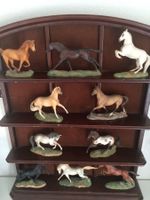 „The great Horses of the World“