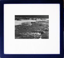 Fotografie: Wasser und Eis I
