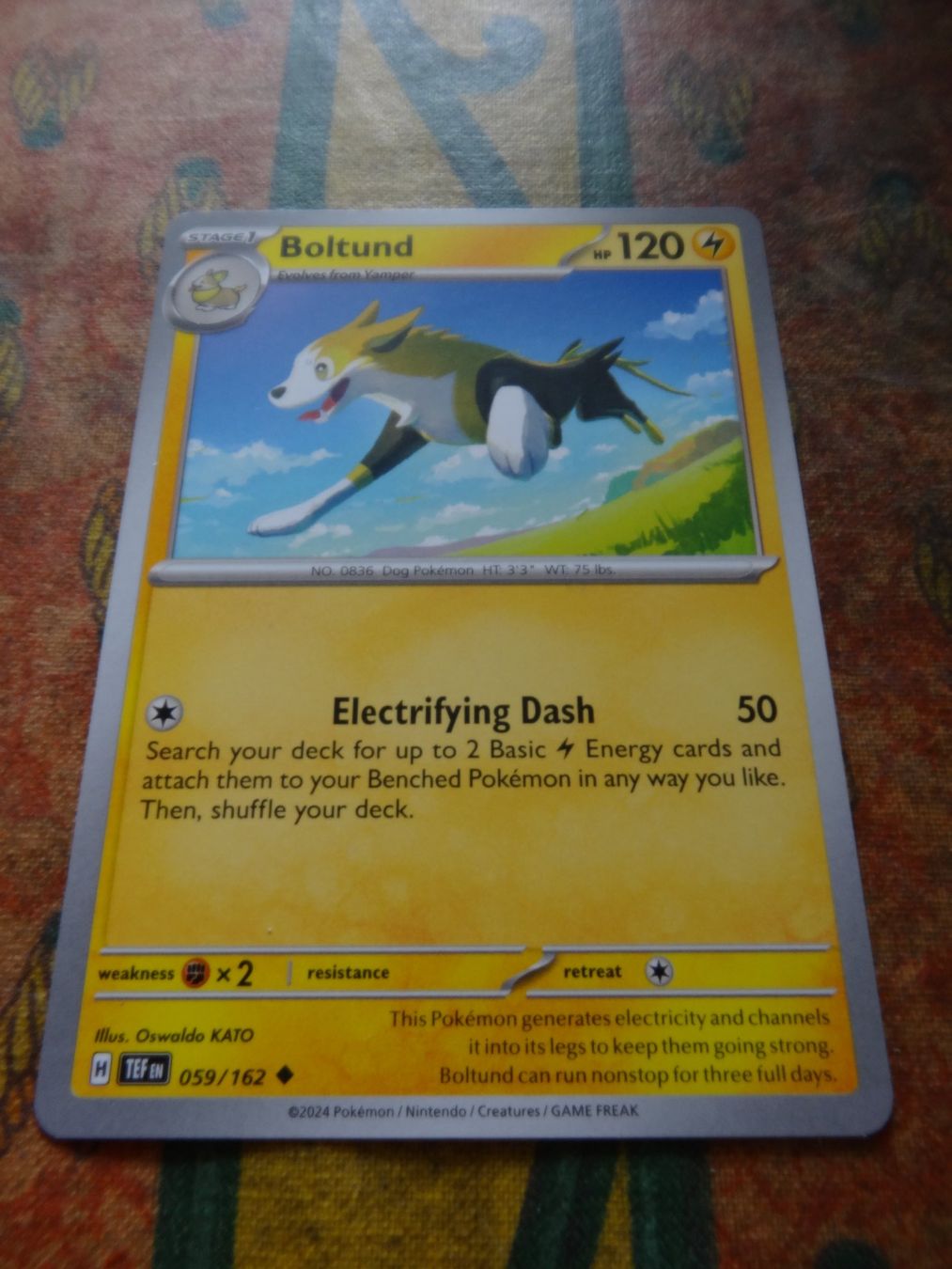 Pokémon Carte collezionabili: POKEMON  Boltund   H  TEF EN   059/162   HP120   2024 – Usato da Romanel-sur-Lausanne venduto da Swift13