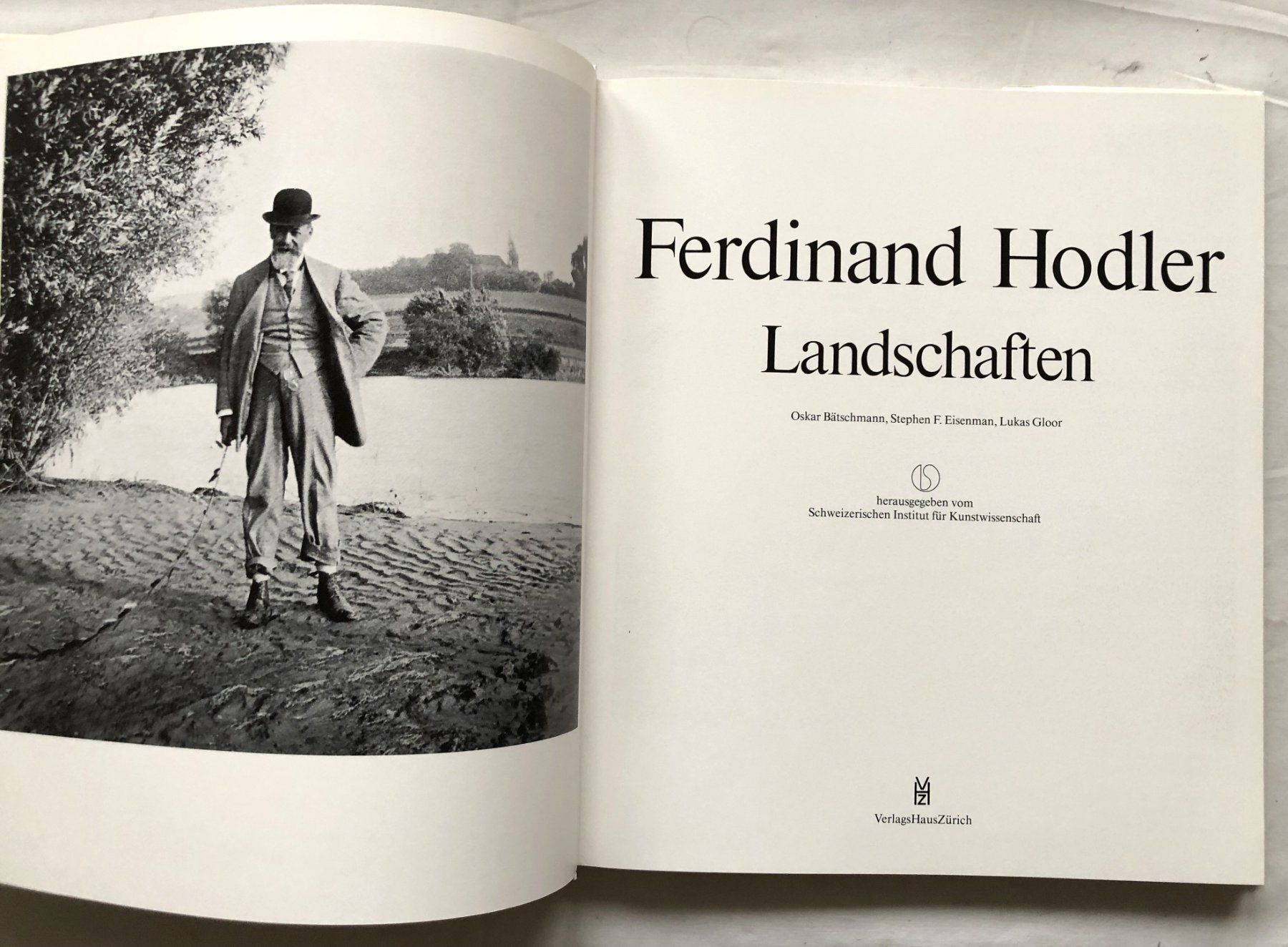 Libri: Ferdinand Hodler - Landschaften - Kunstband – Usato da Schaffhausen venduto da durruti 1