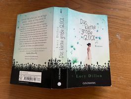 Das kleine grosse GLÜCK Roman Lucy Dillon