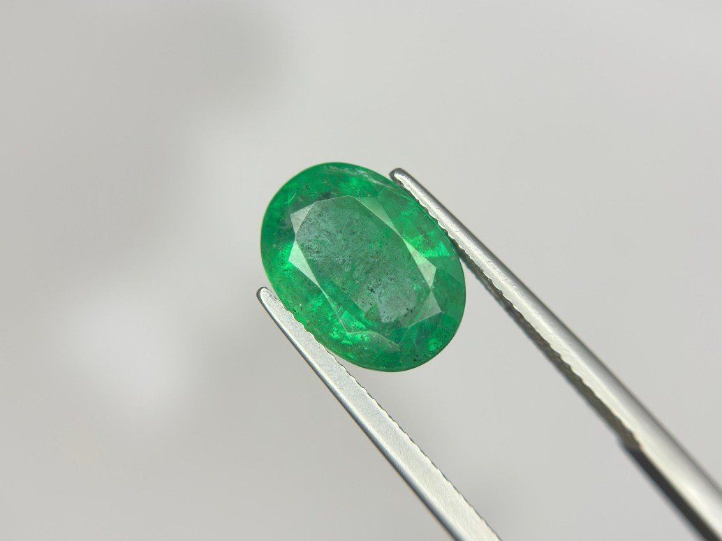 Pietre preziose: Grün Smaragd - 5.96 ct - Lotus Gemology – Usato da Hünenberg venduto da Wildsau79 2