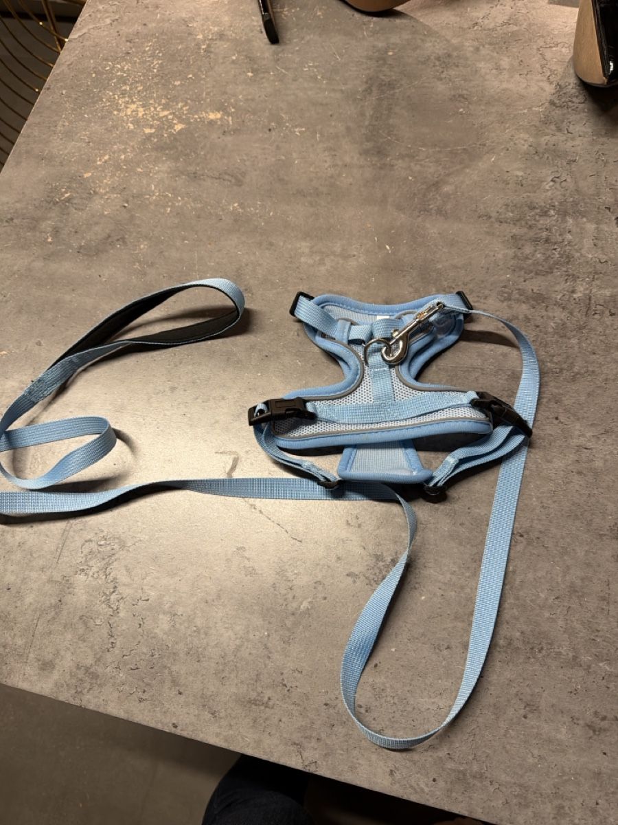 Guinzagli & Collari: Cat harness  – Nuovo (secondo la descrizione) da Basel venduto da agi_f72z 1