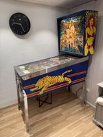 Flipperautomat Williams Jungle Lord gebraucht