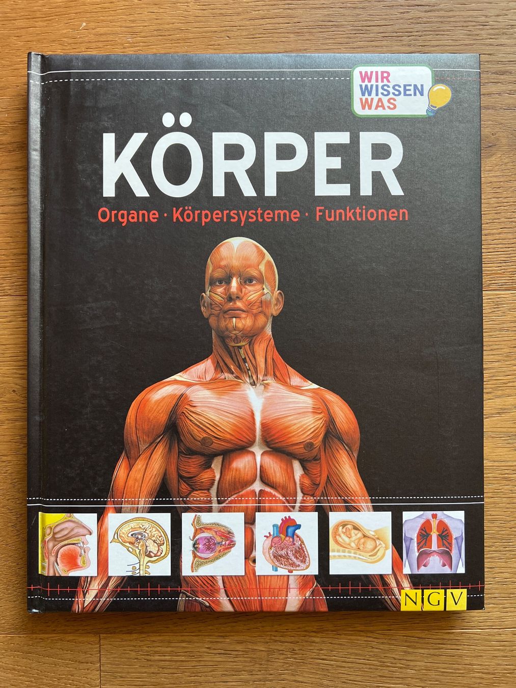 Bücher: Wissensbuch Körper – Gebraucht aus Lengnau BE von Rubin27