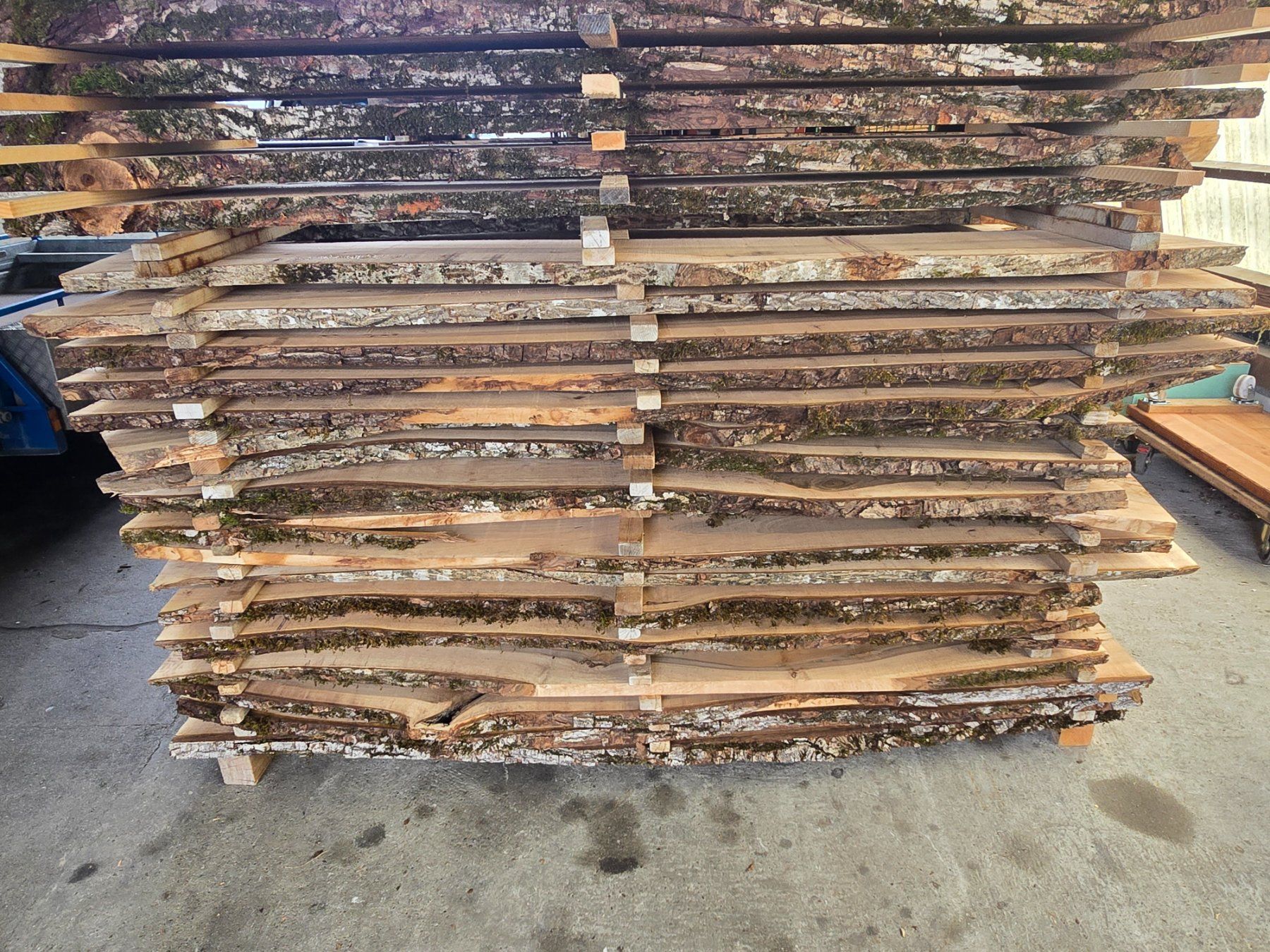 Articoli in legno: Nussbaumbretter 30mm – Usato da Ramsei venduto da Waelchris 1