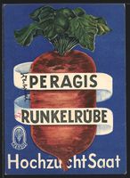 Reklame für Runkelrübe von Peragis