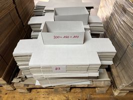 083 Posten Verpackungskarton 300 x 160 x110 (1Pal) aus Liq