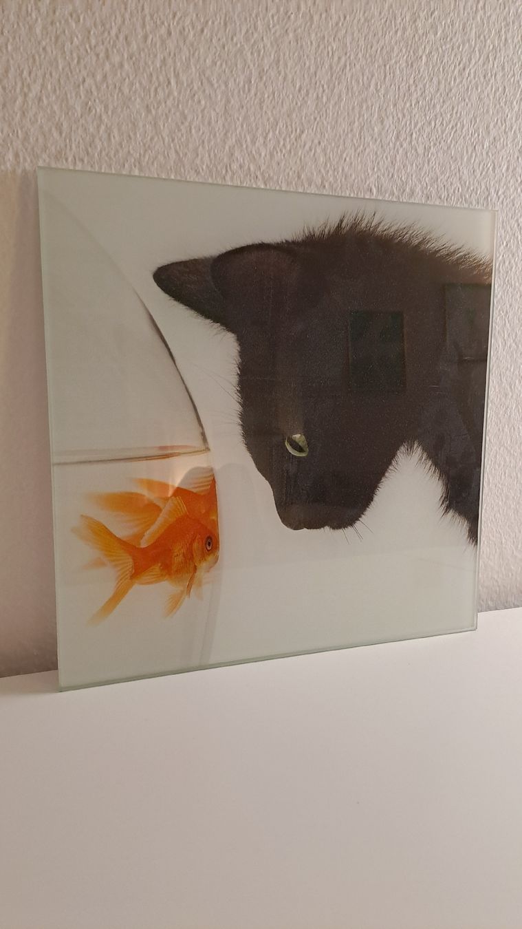 Foto & Immagini: Image tableau chat et poisson rouge décoration murale verre – Nuovo (secondo la descrizione) da Rolle venduto da lea_6mr2
