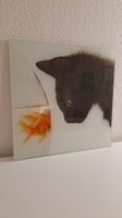 Image tableau chat et poisson rouge décoration murale verre