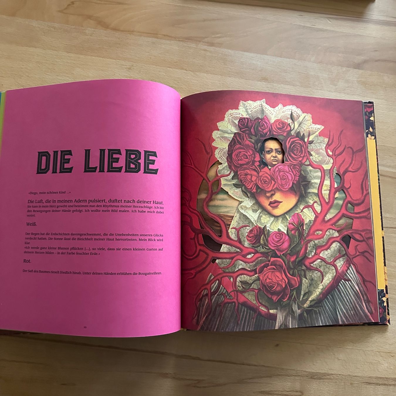 Libri: FRIDA - Benjamin Lacombe, Sébastien Perez – Nuovo (secondo la descrizione) da Sax venduto da kaulquappe01 6