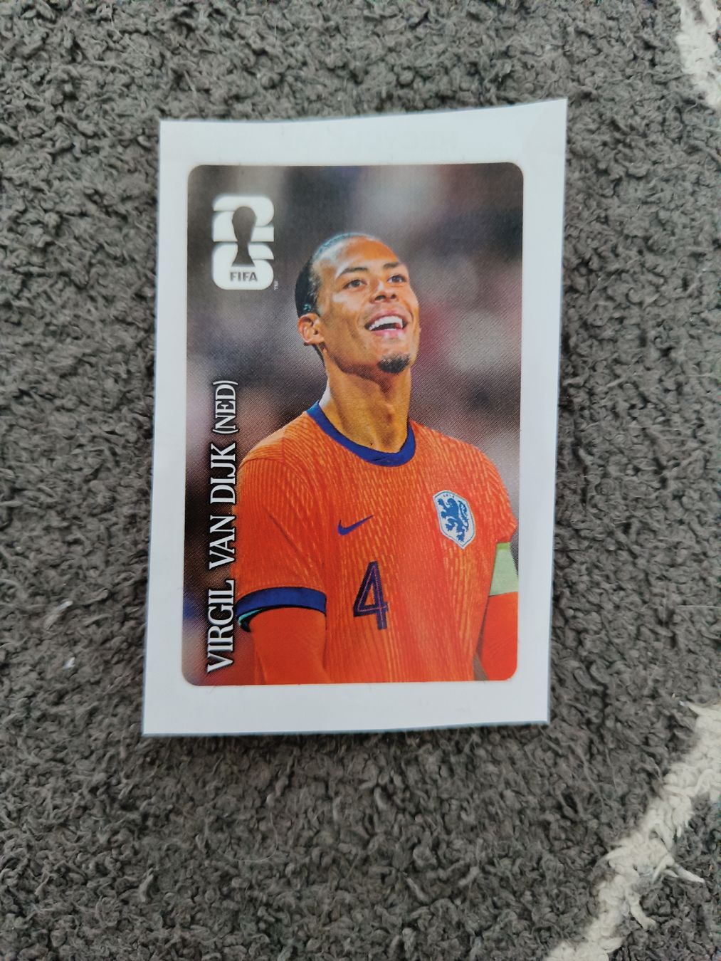 Panini Carte collezionabili: Panini Cola Sticker Van Dijk  – Usato da Rorschach venduto da Laboumedeluxe
