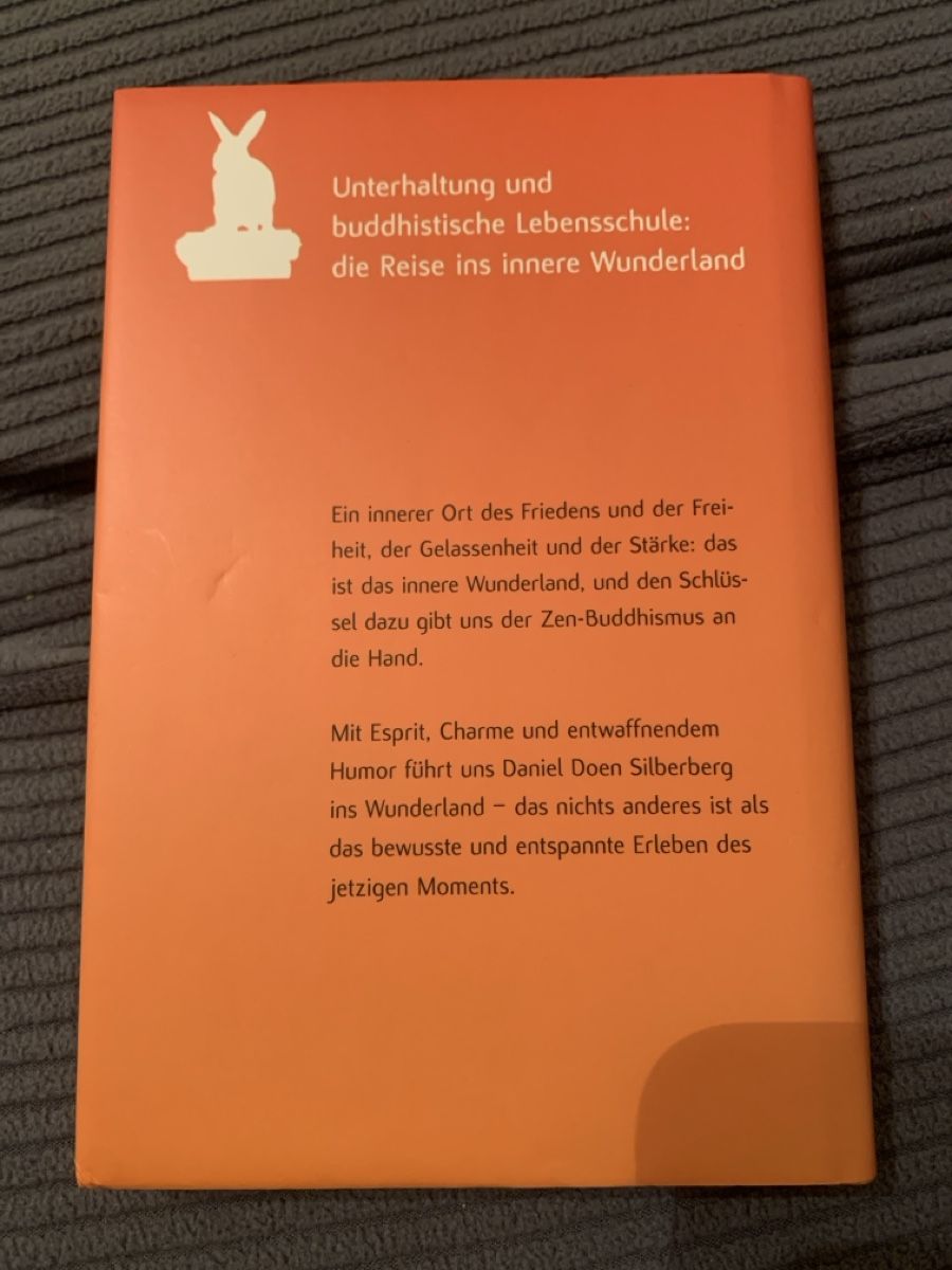 Libri: Zen und die Kunst, durch ein Loch zu fallen – Usato da Walenstadt venduto da Smokyboy 1