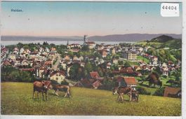Heiden - Generalansicht mit Kühen - Litho