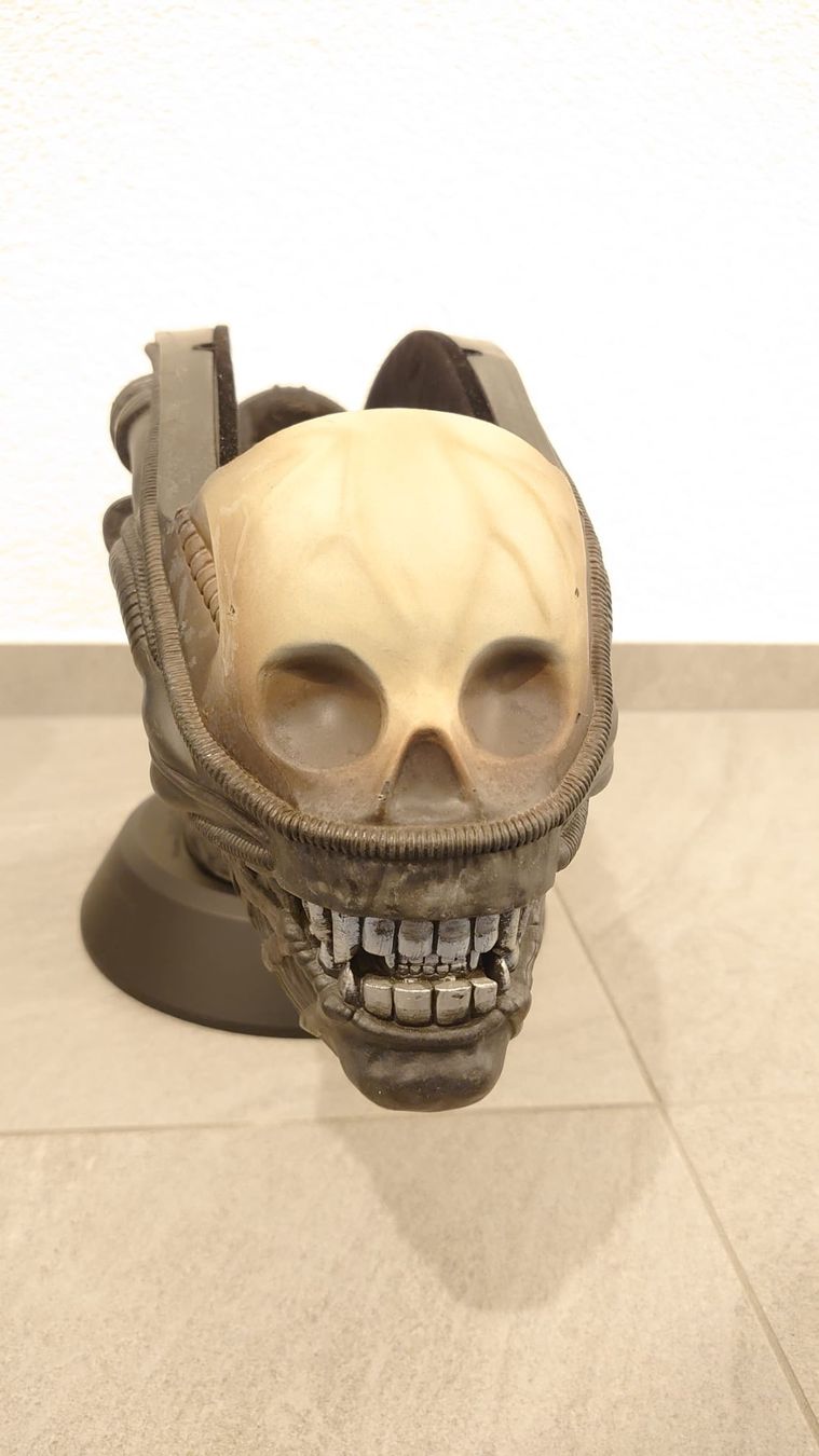 Sculture & Statue: Alienbüste Limited 25th Anniversary-Edition – Nuovo (secondo la descrizione) da Laufen venduto da ric_9vmm 3