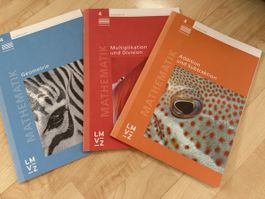 Mathematik Arbeitshefte 4 Klasse