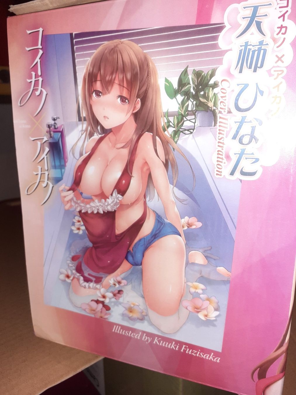 Statuette: Manga von Cover Illustrationen – Nuovo (secondo la descrizione) da Zürich venduto da Crocuda 2