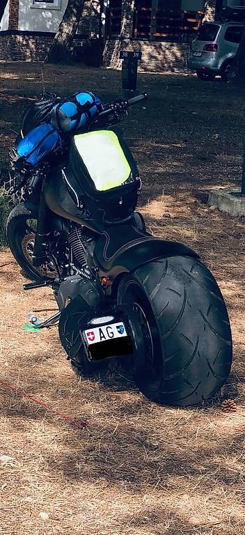 Tutti i ricambio per moto: Motorrad Rücklicht – Usato da Veltheim AG venduto da ami_px7q 3