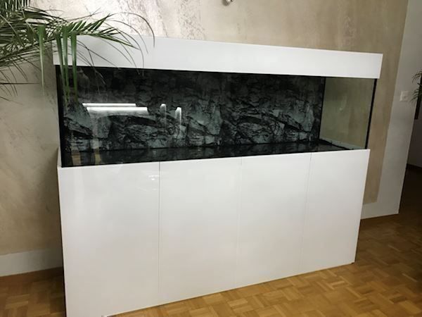Acquari: Hochglanz Aquarium – Nuovo (secondo la descrizione) da Berikon venduto da fischundart