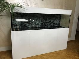 Hochglanz Aquarium