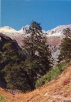 Münstertal  VS  ( Münster )   -  Am Wanderweg mit Rosshörner
