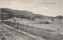 LANDWIRTSCHAFT/GEMUESEANBAU 1920 Sand bei Schönbühl BE