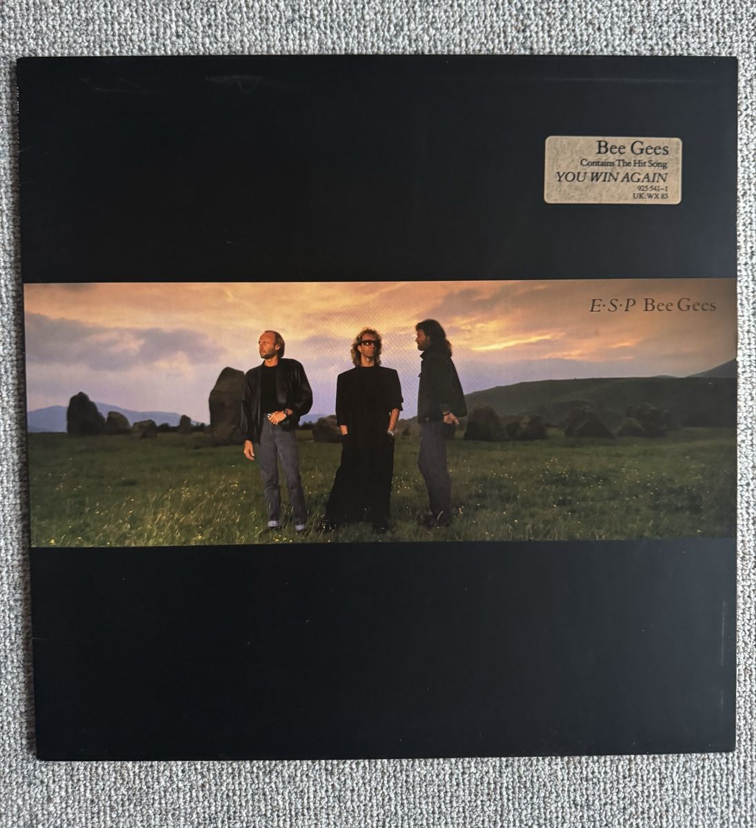 Dischi in vinile: Bee Gees - E.S.P. - LP - 80s – Usato da Rorbas venduto da BlackstarRecords