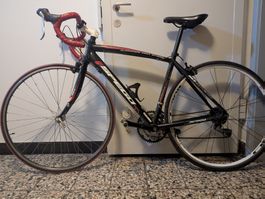 Top Rennrad für den Sommer, Aluminium, TOP Zustand