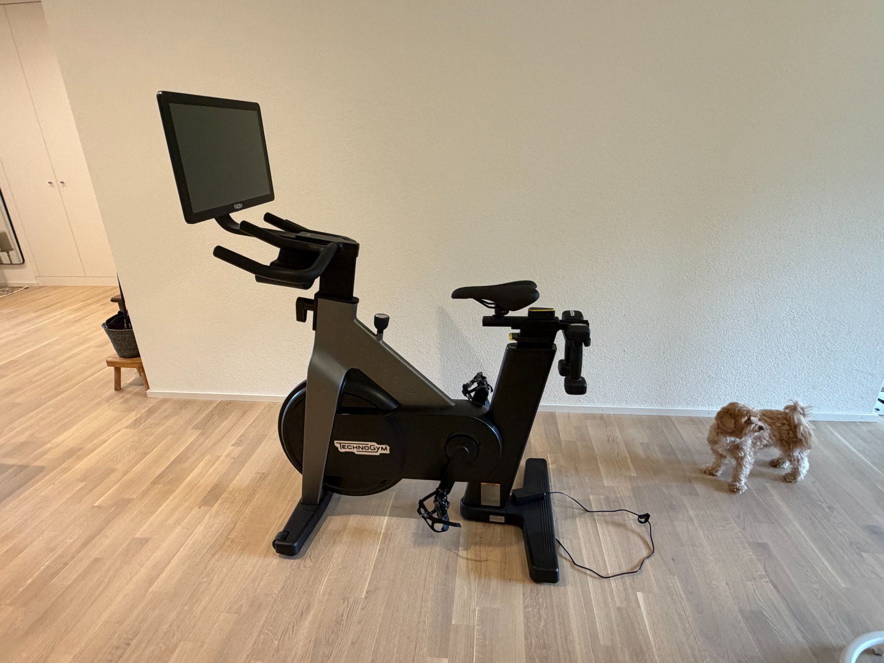 Technogym Vélos d'appartement: Technogym Bike - Neuwertig!!! – D'occasion à Au ZH par owr_91 1
